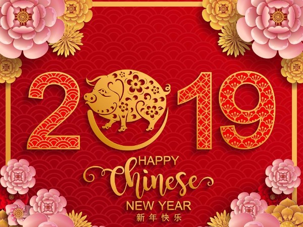 金豬送喜辭舊歲，雙志陪您慶新春！
